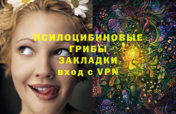 скорость mdpv Белокуриха